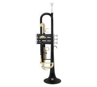 Trompeta Para Adultos Juego De Trompeta Estándar Bb Negra Instrumentos De Trompeta Para Principiantes De Latón(Black Trumpet)