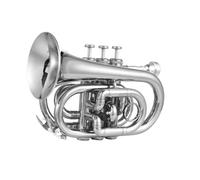 Trompeta Para Adultos Mini Trompeta Bb Trompeta Instrumento Musical Profesional Para Amantes De La Música