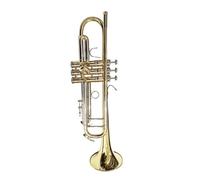 Trompeta Para Adultos Trompeta BB Profesional Instrumento De Latón Con Bolsa De Concierto(Gold)