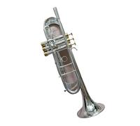 Trompeta Para Adultos Trompeta Bc TR-197GS Trompeta Chapada En Plata Instrumento Musical Pequeño De Latón Trompeta Profesional(Silver)