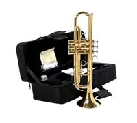 Trompeta Para Adultos Trompeta De Instrumento De Viento Metal Lacada Dorada Trompeta En Si Bemol Instrumento Musical Para Principiantes Y Adultos(Gold)