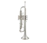 Trompeta Para Adultos Trompeta De Latón De Nivel De Interpretación Profesional Melodía En Si Bemol Instrumento De Banda Para Adultos Y Principiantes Trompeta(D)