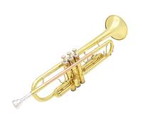 Trompeta Para Adultos Trompeta De Latón Estándar En Si Bemol Instrumento Para Principiantes Con Tubo De Bronce Fosforoso