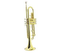 Trompeta Para Adultos Trompeta Lacada Instrumento Dorado Para Principiantes Trompeta Instrumento De Viento Instrumento De Viento