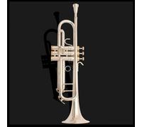 Trompeta Para Adultos Trompeta Original LR180GS72 Bañada En Plata Y Bañada En Oro Instrumento De Viento Metal Profesional Con Estuche(Silver)