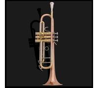 Trompeta Para Adultos Trompeta Original LR180GS72 Bañada En Plata Y Bañada En Oro Instrumento De Viento Metal Profesional Con Estuche(Brown)