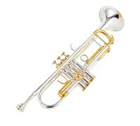 Trompeta Para Adultos Trompeta Pequeña En Si Bemol TR-197GS Con Llave Dorada Plateada Instrumentos Musicales Profesionales Con Estuche