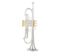 Trompeta Para Adultos Trompeta Profesional Bb Tune Superficie Chapada En Latón Dorado Instrumentos De Música Profesionales Con Estuche Rendimiento Para Principiantes(Silver)