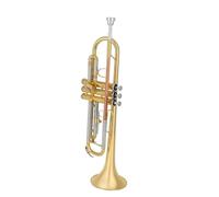 Trompeta Para Adultos Trompeta Si Bemol Para Principiantes Instrumento De Viento Dorado Profesional
