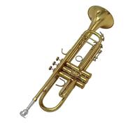Trompeta Para Adultos Trompeta Tubo Plano Instrumento Metal Amante De La Música(A)