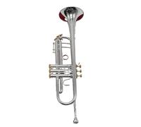 Trompeta Para Adultos Trompeta Tubo Plano Instrumento Metal Amante De La Música(C)