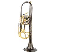 Trompeta Para Adultos Trompeta Válvula Rotativa Tipo B Llave Plana De Latón Trompeta Profesional Instrumentos Musicales Sensación Cómoda