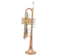 Trompeta Para Adultos Tubo De Latón Tono C Trompeta Pequeña Ajustable Doble Cuerno Superficie Chapada En Oro Instrumentos Musicales Profesionales