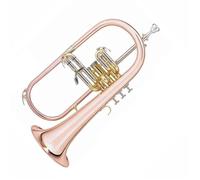 Trompeta para estudiante Trompeta De Fliscorno De Cobre Fosforado En Clave Bb Instrumento Musical Profesional De Acero Inoxidable