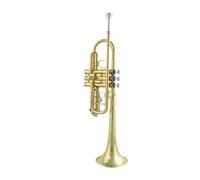 Trompeta Para Principiantes, Examen De Grado Profesional, Trompeta Universal En C Plana, Instrumento Profesional De Trompeta Con Llave En C