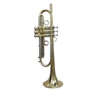 Trompeta Para Principiantes Trompeta Bb Laca Dorada Trompeta Chapada En Plata Instrumentos Musicales De Latón Trompeta Tipo Compuesto
