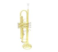 Trompeta Para Principiantes Trompeta Bb Plana Profesional Latón Oro Plata Trompeta Cuerpo De Latón Trompete Musical Caja De Instrumentos De Latón Trompeta(Golden)