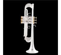 Trompeta Para Principiantes Trompeta Bb Trompeta Chapada En Plata Lacada En Oro Instrumentos Musicales De Latón Trompeta Tipo Compuesto(Silver)