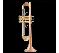 Trompeta Para Principiantes Trompeta Bb Trompeta Chapada En Plata Lacada En Oro Instrumentos Musicales De Latón Trompeta Tipo Compuesto(Gold)