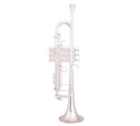 Trompeta Para Principiantes Trompeta Chapada En Plata Instrumento Musical De Latón Pequeño Trompeta Instrumentos Profesionales De Latón(Silver)