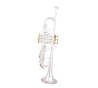 Trompeta Para Principiantes Trompeta Chapada En Plata Instrumento Musical De Latón Pequeño Trompeta Instrumentos Profesionales De Latón(Golden)