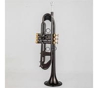 Trompeta Para Principiantes Trompeta Pequeña Bb Instrumentos Musicales Profesionales Con Llave De Oro Y Níquel Negro Con Estuche