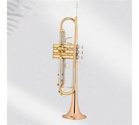 Trompeta Para Principiantes Trompeta Si Flat School Orchestra Versión Mejorada Para Autoaprendizaje