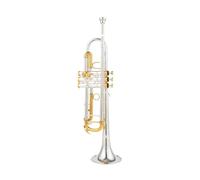 Trompeta Pequeña Bb, Instrumentos Musicales Profesionales Con Llave Dorada Y Plateada, Con Estuche