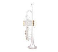 Trompeta Pequeña Bb, Instrumentos Musicales Profesionales Con Llave Dorada Y Plateada, Con Estuche