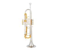 Trompeta Pequeña Bb, Instrumentos Musicales Profesionales Con Llave Dorada Y Plateada, Con Estuche (Color : Silver)