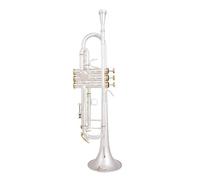 Trompeta Pequeña Bb, Instrumentos Musicales Profesionales Con Llave Dorada Y Plateada, Con Estuche (Color : Silver)
