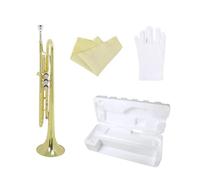 Trompeta Plana Bb B Profesional Material DE LATÓN Instrumento De Viento De Trompeta Musical Con Accesorios De Caja De Boquilla (Color : Gold)