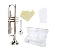 Trompeta Plana Bb B Profesional Material DE LATÓN Instrumento De Viento De Trompeta Musical Con Accesorios De Caja De Boquilla (Color : Silver)