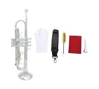 Trompeta Plateada Bb, Instrumento Profesional De Latón Con Boquilla, Funda Con Correa, Accesorios Para Instrumentos Musicales