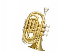 Trompeta Portátil Con Número De Palma, Corneta En Si Bemol, Instrumento De Latón, Actuación De Banda Profesional trompeta instrumento de metal