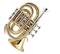 Trompeta Portátil Con Número De Palma, Corneta Plana B, Instrumento De Latón, Rendimiento De Banda trompeta instrumento de metal