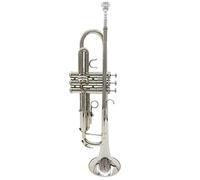Trompeta principiante B-Flat Trompet Es Adecuado Para Que Los Principiantes Jueguen La Prueba De Oro De Triple De Tres Tonos Para Adultos Y Niños Trompeta Latón (Color : 3)