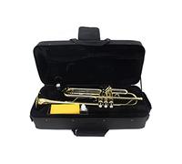 Trompeta principiante BB Flat Trumpet Professional Plateado Plateado Con Boquilla Y Caja De Transporte Instrumento Musical Trompeta Latón