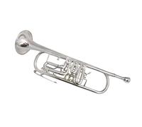 Trompeta principiante BB Rotary Trompet Con La Boquilla De La Caja B Trompetas Planas Trompeta Latón (Color : Nickel plated)