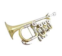 Trompeta principiante BB Trumpet B Plana Con Placa De Letreros Extra De Latón Piccolo Trompetas Instrumentos Musicales Trompeta Con La Boquilla De La Caja Trompeta Latón