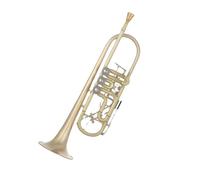 Trompeta Principiante El Instrumento De Trompeta Bb Con Artesanía Cepillada En Cobre Dorado Es Fácil De Tocar Y Ahorra Esfuerzo Para Los Principiantes.