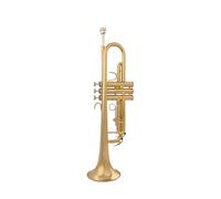 Trompeta principiante El Instrumento Musical De Trompeta En B Plateado Plateado, Plateado, Examen Orquestal O Occidental Para Principiantes Trompeta Latón