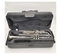 Trompeta principiante Golden Silver B Flat Tronce Trumpet Wind Instrumento adecuado para principiantes para practicar bandas y trompetas de trompeta profesional Trompeta Latón (Color : Silver)