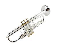 Trompeta principiante Grado De Rendimiento Profesional B B Placa Trompeta Instrumento Musical Plateado Plateado Cuerno De Una Pieza Tallado A Mano Trompeta Latón
