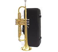 Trompeta principiante Instrumento De Trompeta De Tres Tonos, Bugle, B Plana, Adecuado Para Principiantes, Pioneros Jóvenes Y Equipo De Tambor Professional. Trompeta Latón (Color : 3/4)