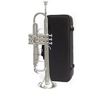 Trompeta principiante Instrumento De Trompeta De Tres Tonos, Bugle, B Plana, Adecuado Para Principiantes, Pioneros Jóvenes Y Equipo De Tambor Professional. Trompeta Latón (Color : 2)