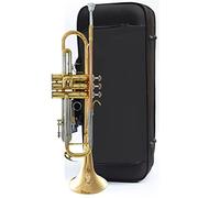 Trompeta principiante Instrumento De Trompeta De Tres Tonos, Bugle, B Plana, Adecuado Para Principiantes, Pioneros Jóvenes Y Equipo De Tambor Professional. Trompeta Latón (Color : 7)