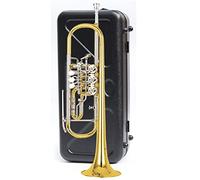 Trompeta principiante Instrumento De Trompeta De Tres Tonos, Bugle, B Plana, Adecuado Para Principiantes, Pioneros Jóvenes Y Equipo De Tambor Professional. Trompeta Latón (Color : 6)