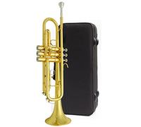 Trompeta principiante Instrumento De Trompeta De Tres Tonos, Bugle, B Plana, Adecuado Para Principiantes, Pioneros Jóvenes Y Equipo De Tambor Professional. Trompeta Latón (Color : 3)