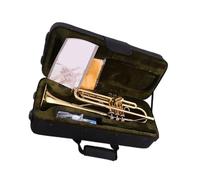 Trompeta Principiante Instrumento De Trompeta Profesional En Si Bemol Para Principiantes Y Adultos.